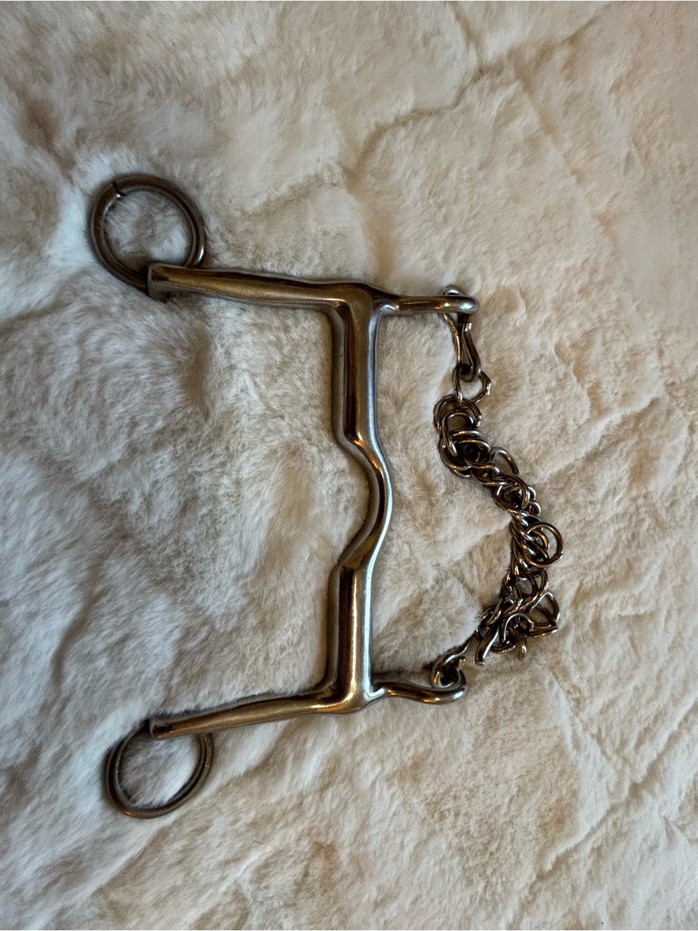 Antique style Stainless Steel Horse Bit with Chain - Silver - Picture 8 of 9